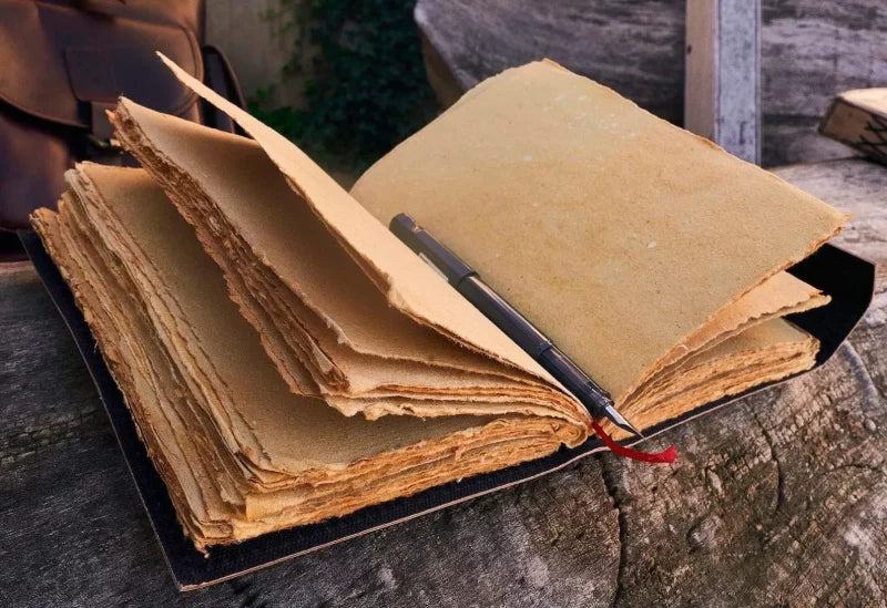 Diaries