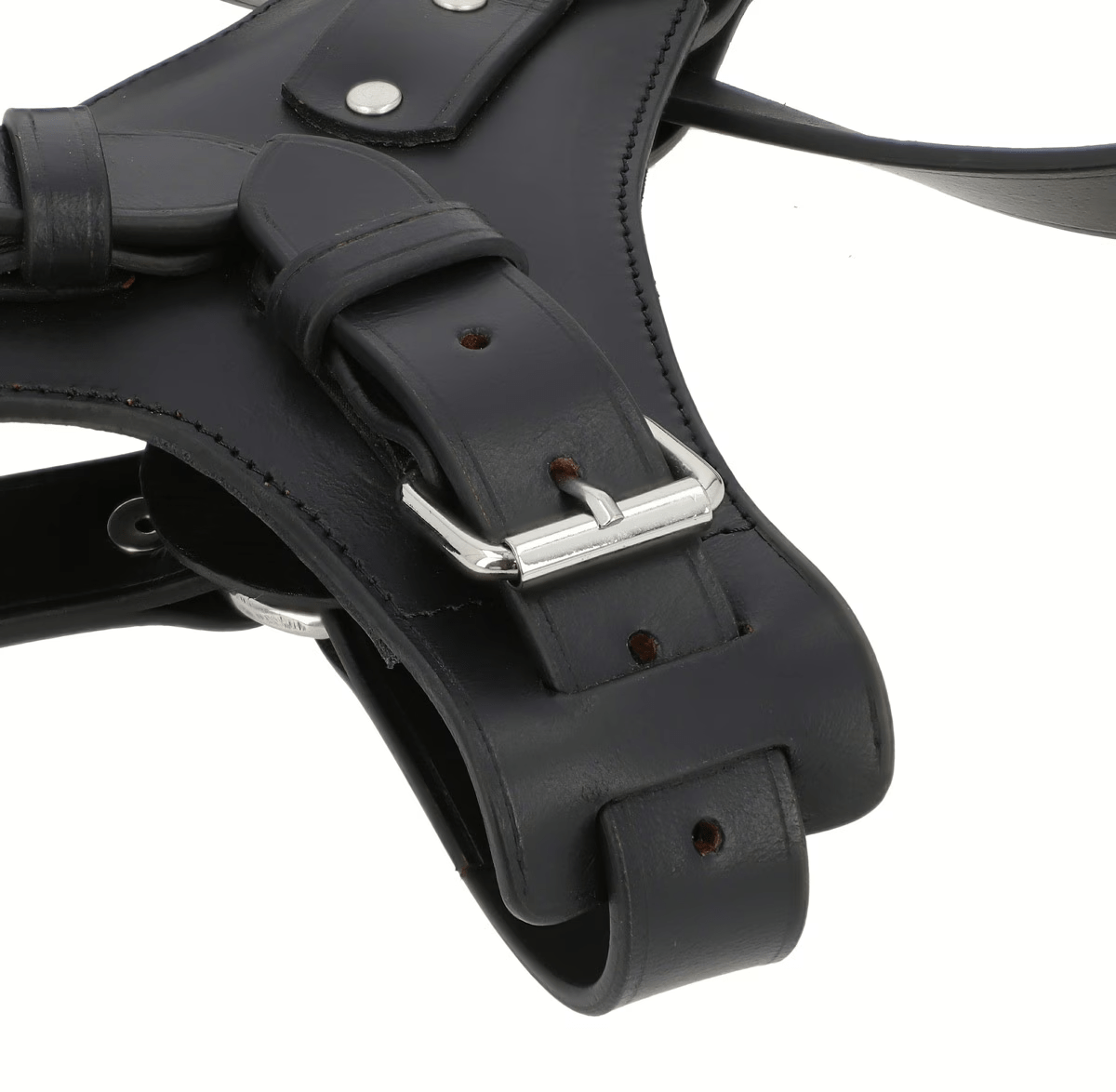 Premium Black Leather Dog Chest Harness