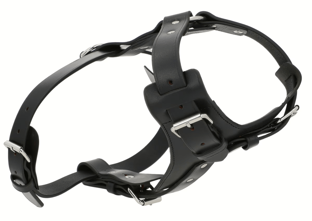 Premium Black Leather Dog Chest Harness