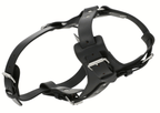 Premium Black Leather Dog Chest Harness