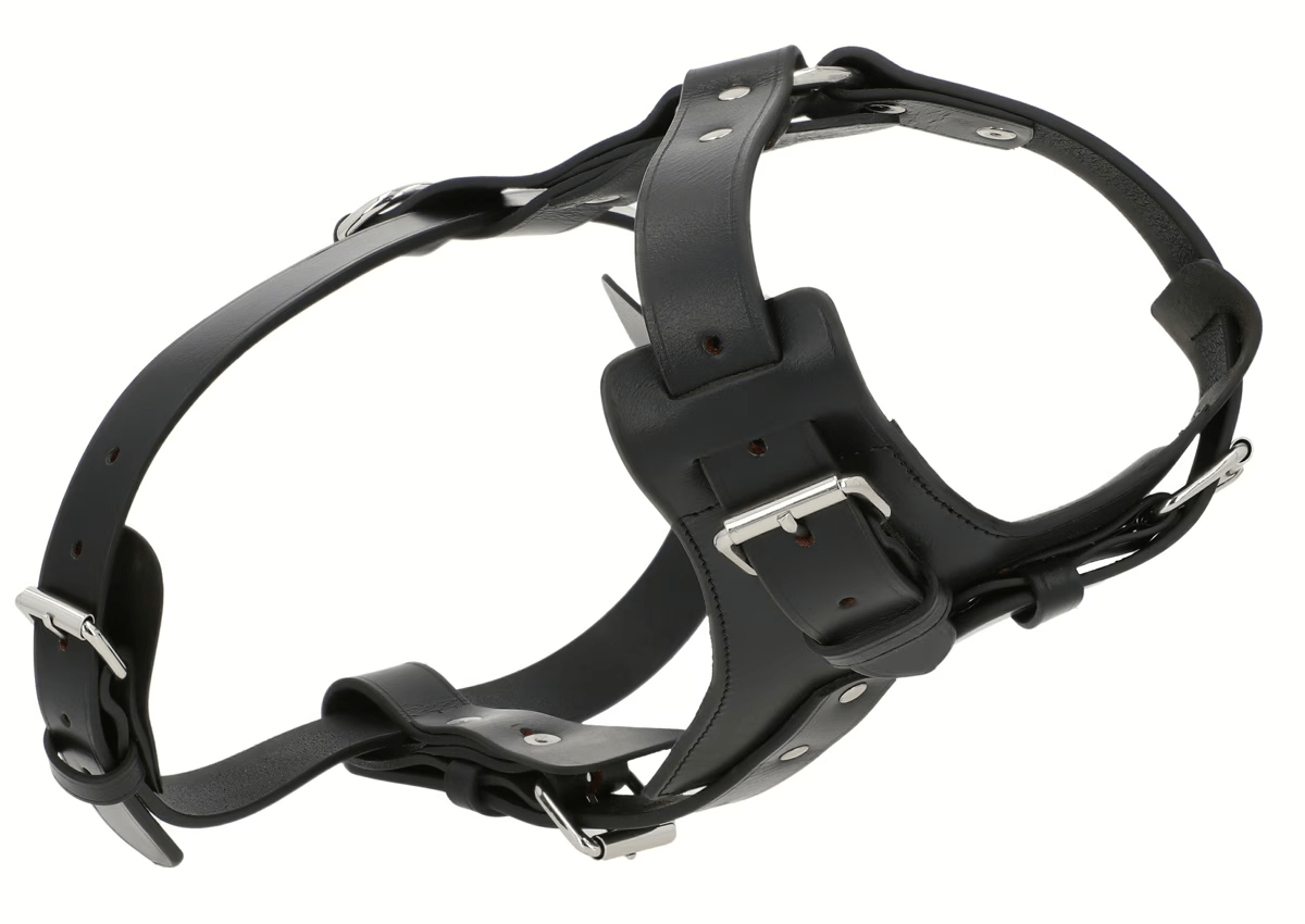 Premium Black Leather Dog Chest Harness