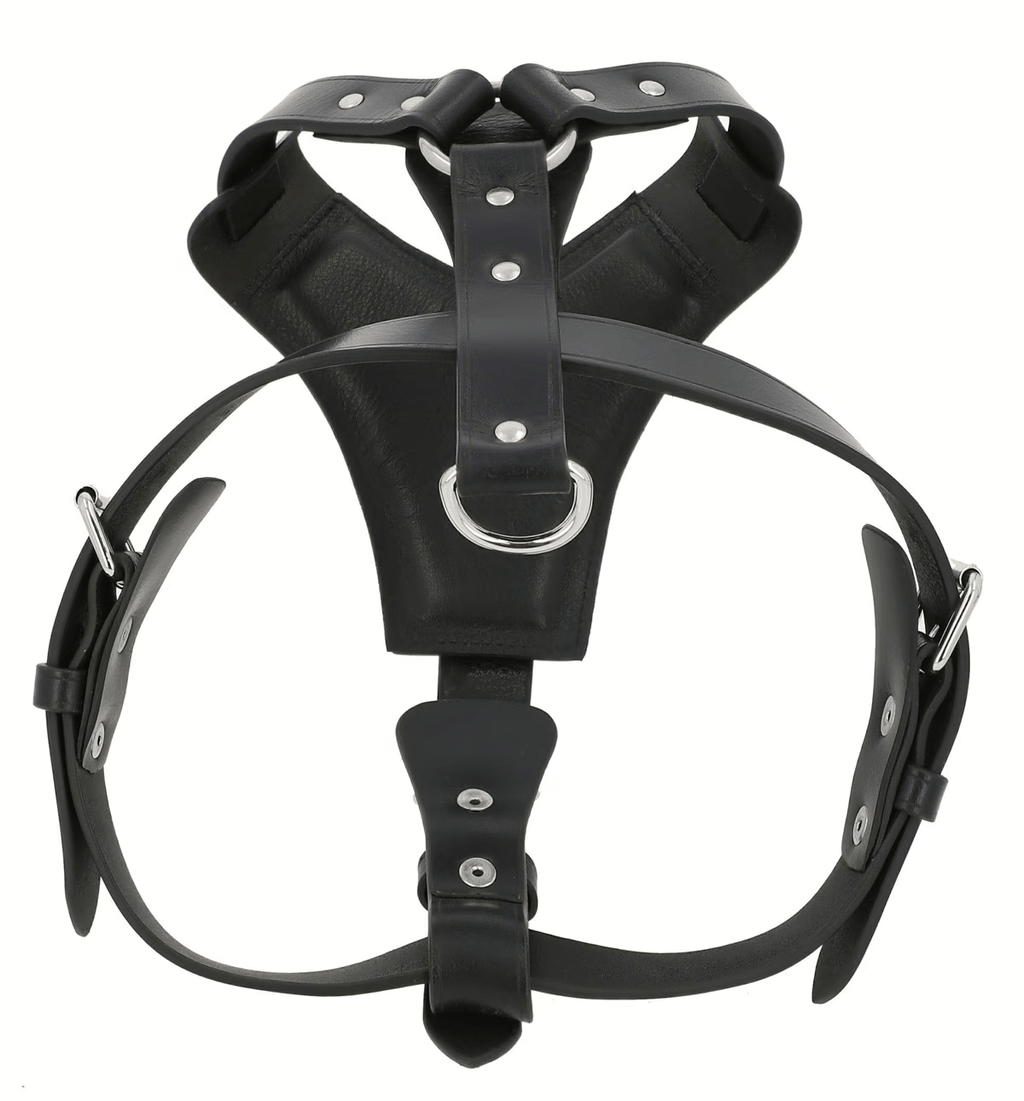 Premium Black Leather Dog Chest Harness