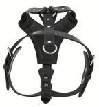 Premium Black Leather Dog Chest Harness