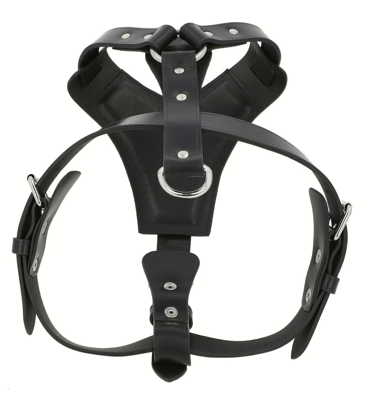 Premium Black Leather Dog Chest Harness