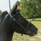 Premium Black Leather English Snaffle Bridle
