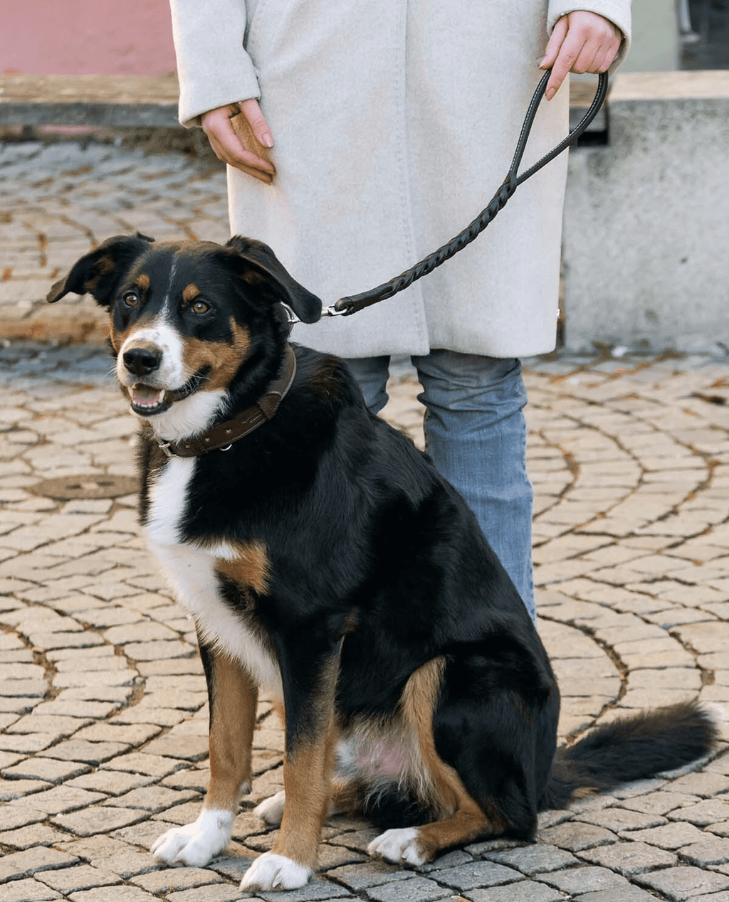 Premium Leather Traffic Dog Leash – Short Control Lead